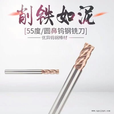 工厂直销 55度钨钢圆鼻铣刀 合金圆鼻刀 立铣刀图2