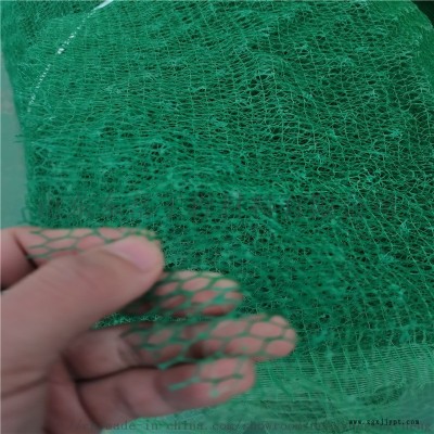 加工定制三维植被网护坡绿化固土三维网植被网图2