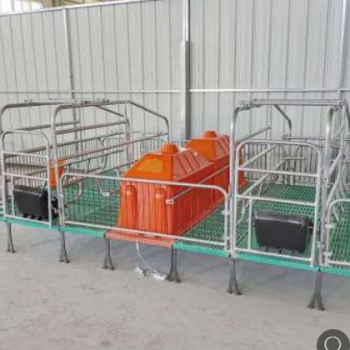母猪产床复合板分娩产床热镀锌双体产床定位栏保育床主用养猪设备图3