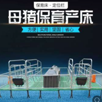 母猪产床复合板分娩产床热镀锌双体产床定位栏保育床主用养猪设备图2