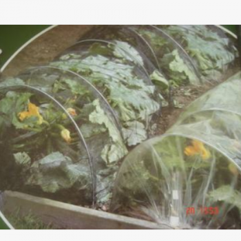 防虫防晒植物罩（1*3m）（2*3m）图3