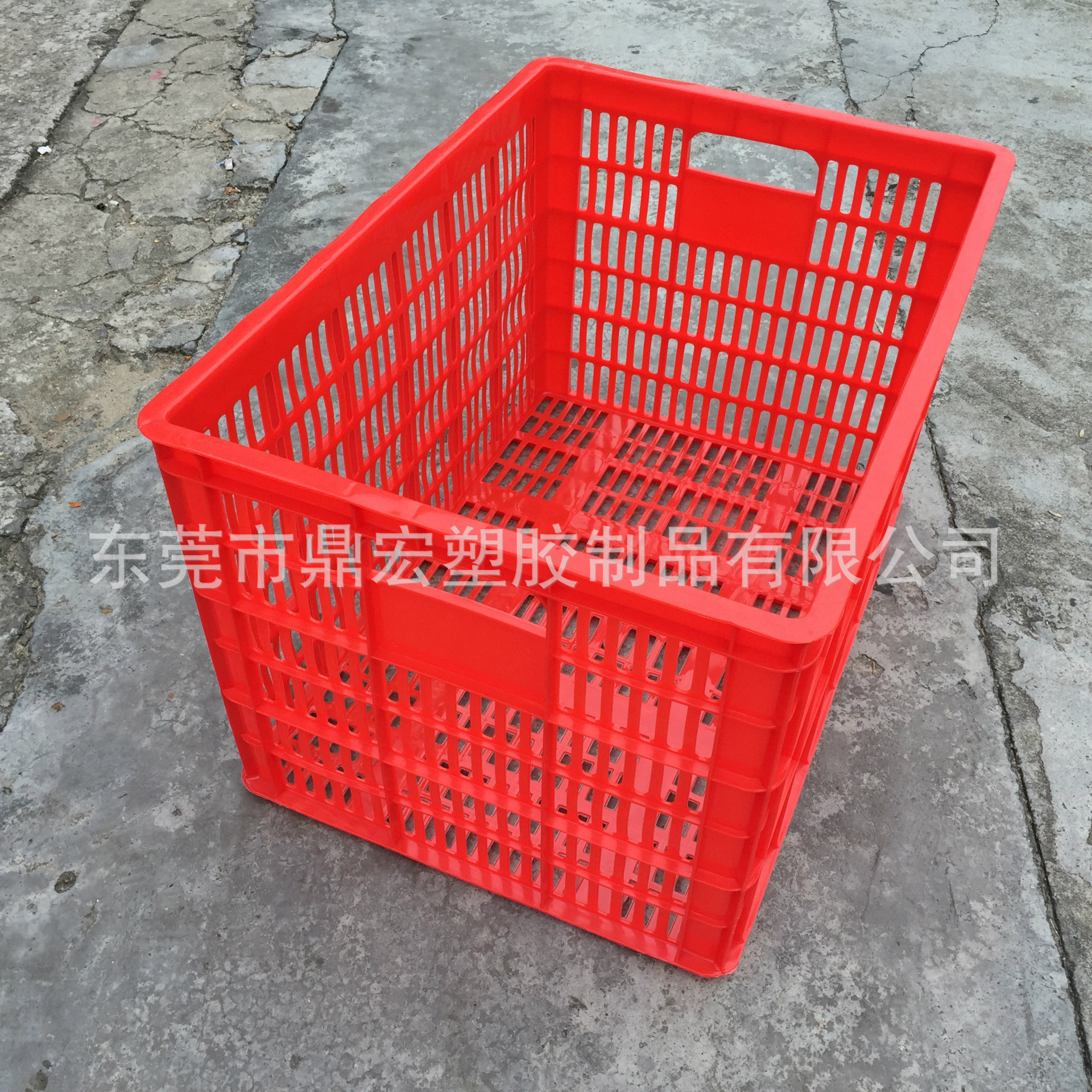B4号萝