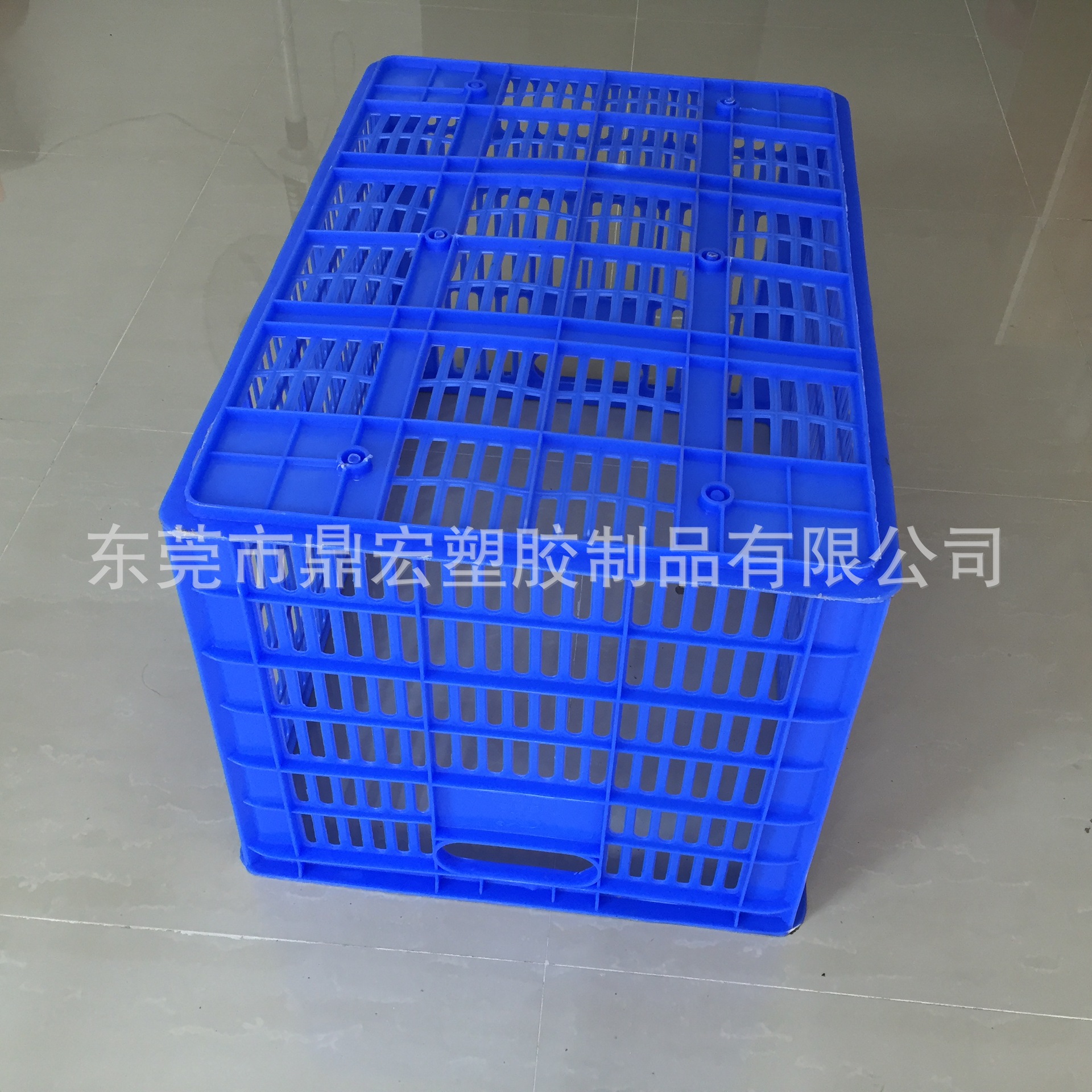 B4号萝 (2)