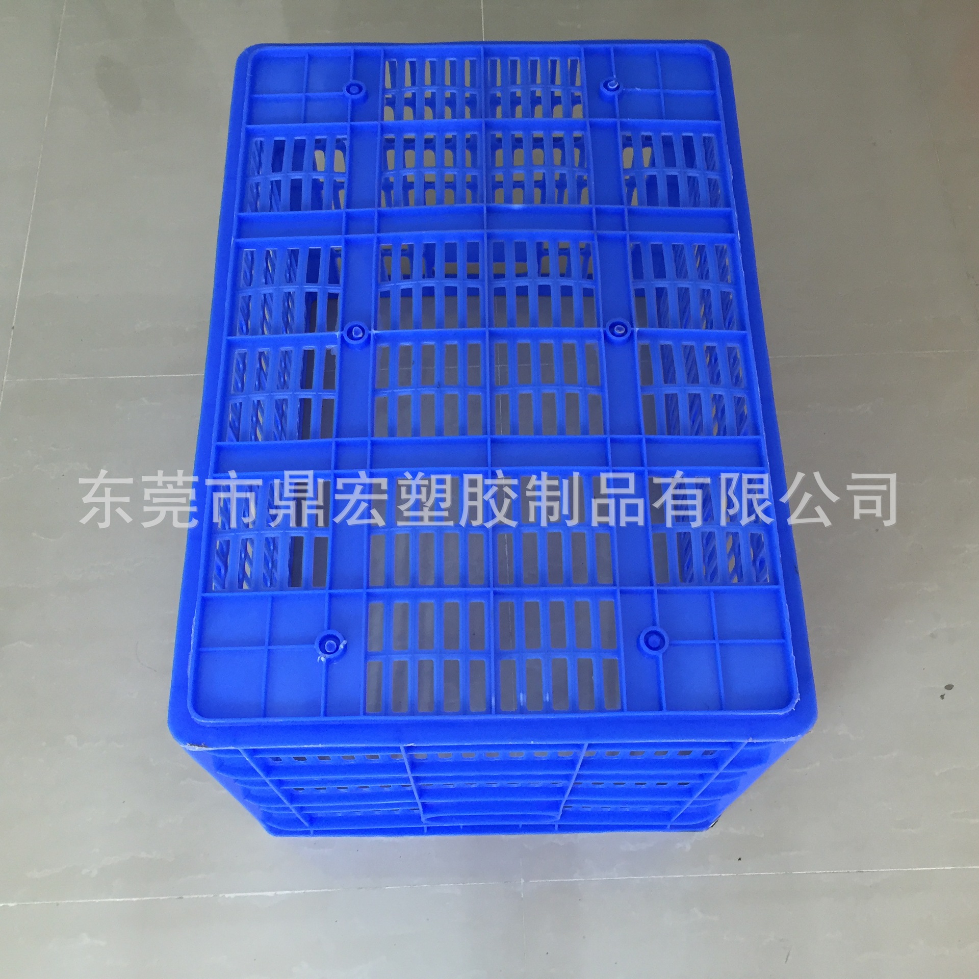 B4号萝 (1)