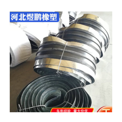 供应钢边橡胶止水带镀锌钢板止水带钢板腻子止水带型号齐全图2