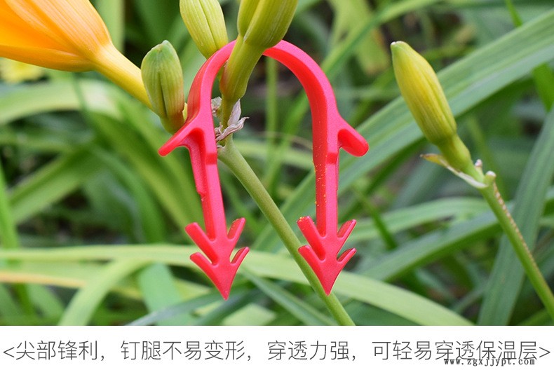 绿辰地暖卡钉_05
