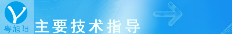 主要技术指导