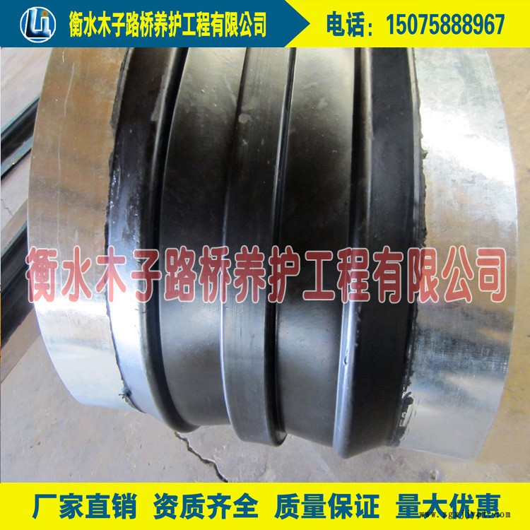 钢边止水带4
