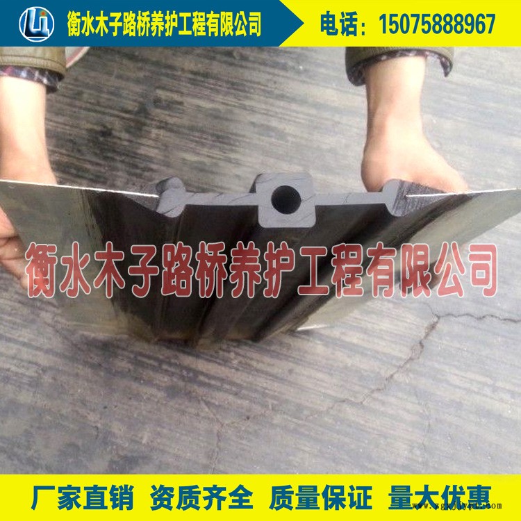 钢边止水带2
