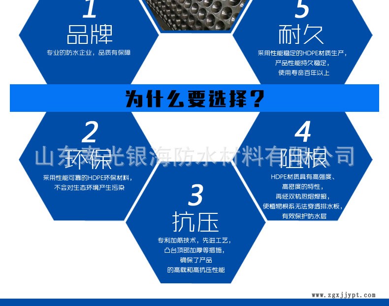 蓄排水板g副本_02