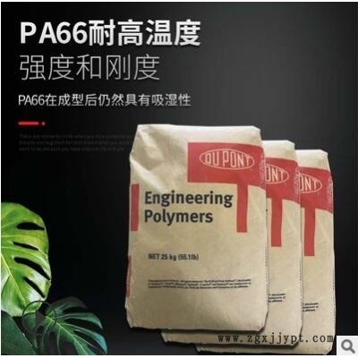 纯尼龙PA66 美国杜邦 101F增韧性 高抗冲尼龙双6塑胶原料杜邦尼龙图2