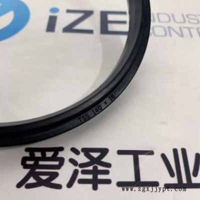 B+S密封SPGW 140*16现货供应爱泽工业图2