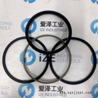 B+S密封SPGW 140*16现货供应爱泽工业图1