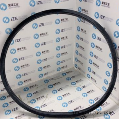 B+SV型圈TWVL02000-N6T50 爱泽工业供应现货供应爱泽工业图2