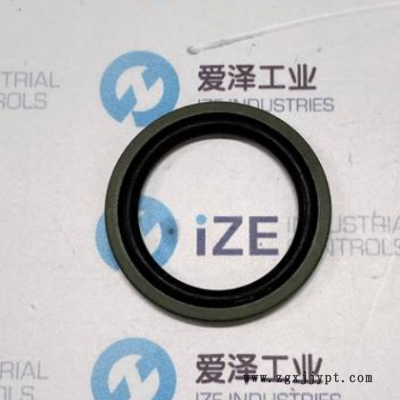 B+S格莱圈PT0100300-T46N 爱泽工业供应现货供应爱泽工业图2