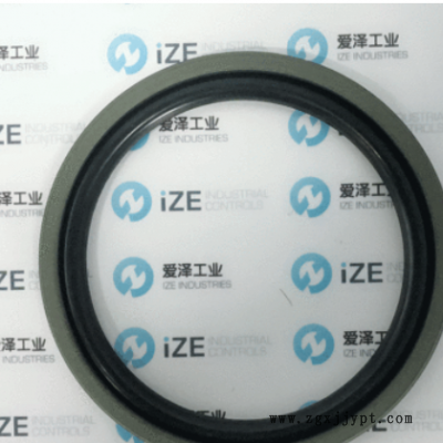 PT0401100-T46NA密封BUSAK+SHAMBAN(B+S)现货供应爱泽工业图2