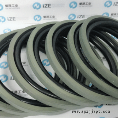 PT0401100-T46NA密封BUSAK+SHAMBAN(B+S)现货供应爱泽工业图1