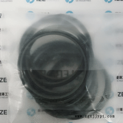 WE3200700-T46N密封BUSAK+SHAMBAN(B+S)爱泽工业供应图2