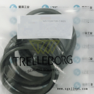 WE3200700-T46N密封BUSAK+SHAMBAN(B+S)爱泽工业供应图1