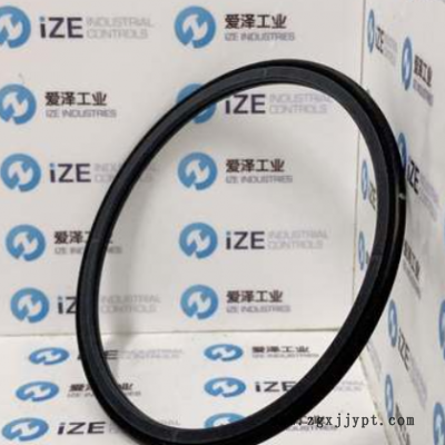 B+S旋转密封圈TG3200900-T40N图2