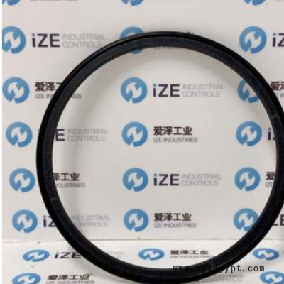 B+S旋转密封圈TG3200900-T40N图3