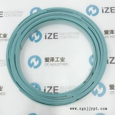 CP7504000-C380导向带BUSAK+SHAMBAN(B+S)现货供应爱泽工业图1