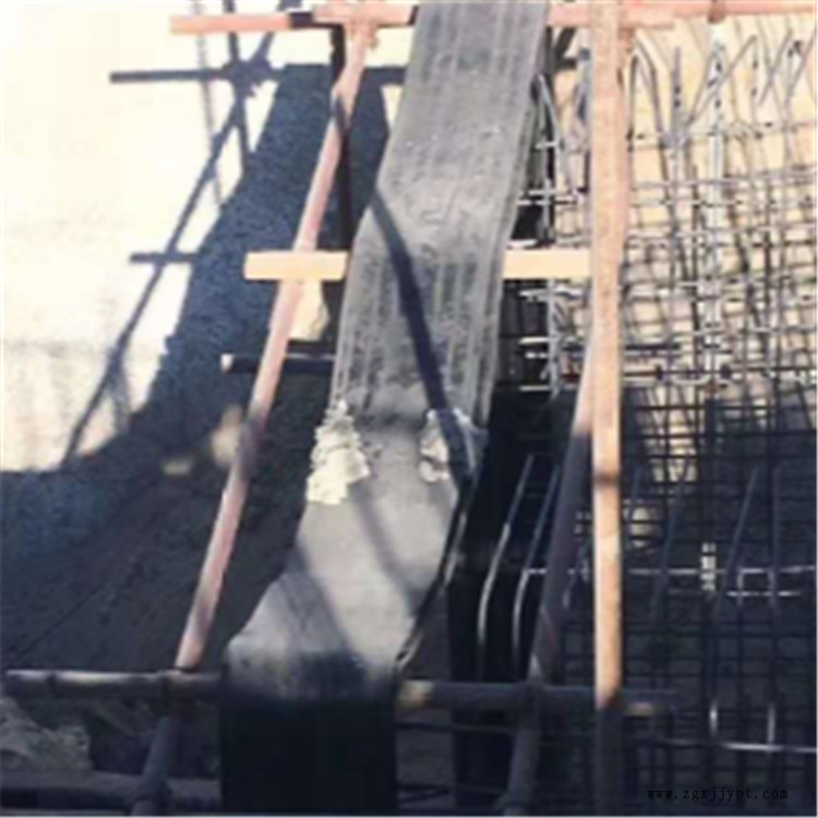 宝晟 厂家供应350*10钢边止水 钢边式橡胶止水带 加工定做