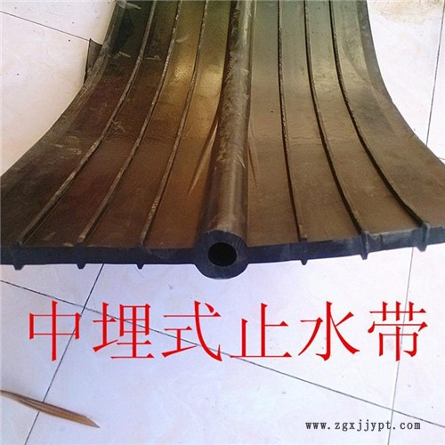 管廊用橡胶止水带 龙岩300×10可卸式止水带 止水带定做