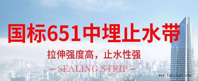 651型橡胶止水带-中埋式橡胶止水_01.jpg