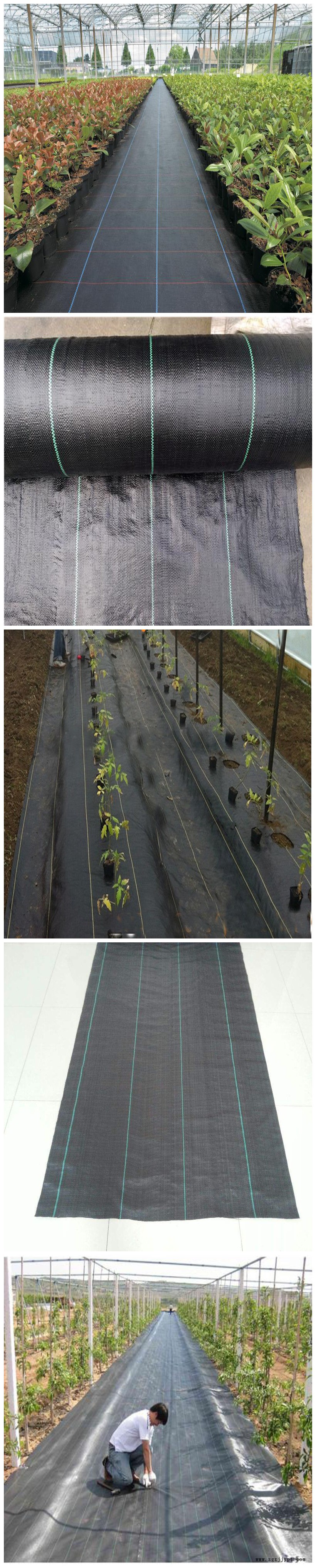 厂家直销防草布地布园林绿化果园除草编织土工布pp聚丙烯除草布示例图1
