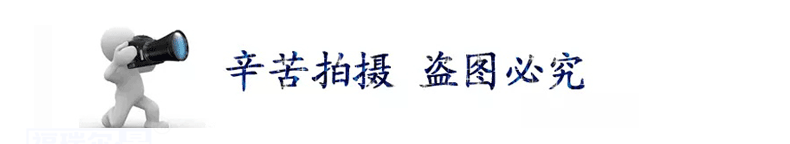 直销尼龙套  PA6尼龙隔套 耐磨含油尼龙轴套MC浇筑尼龙套加工定制示例图3