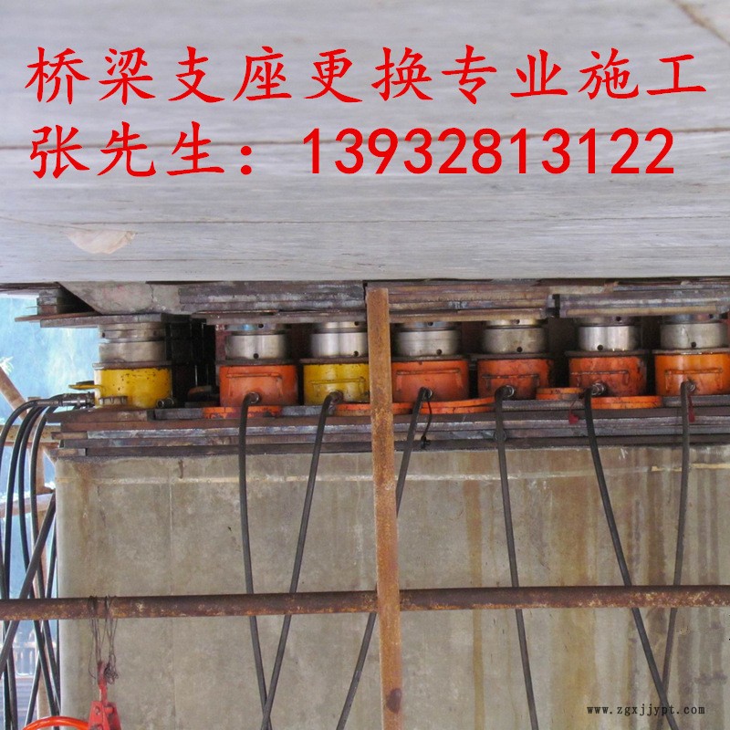 定制卓正橡塑 球型支座 钢结构支座 专业供应可定制