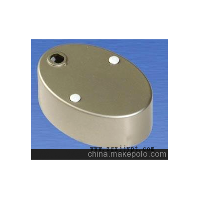 0116古镇塑料喷漆加工厂图3