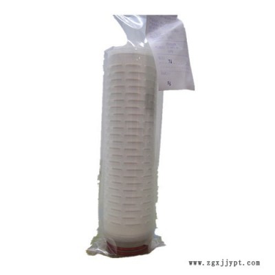 西斗门（南极泉） 聚醚砜膜（PES）折叠微孔膜滤芯图3