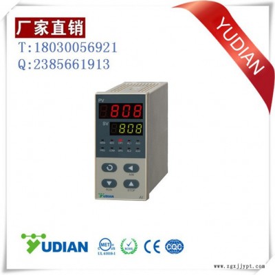 厦门宇电 AI-808PAI4X3L0 高精度仪表图4