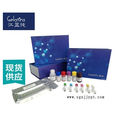 纤溶酶原激活剂抑制物PAI-1试剂盒