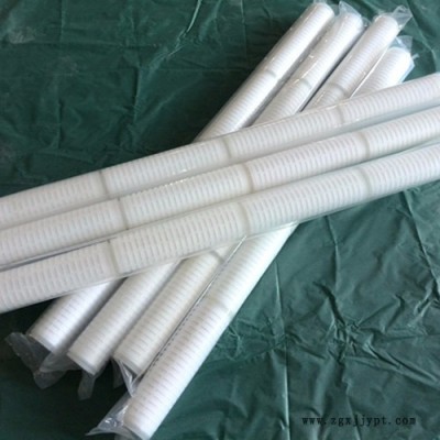 嘉硕环保滤器20寸PES折叠滤芯 微孔膜滤芯 药液除菌过滤芯图3
