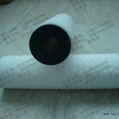 折叠滤芯PES聚醚砜厂家图1