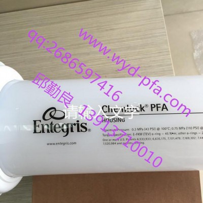 美国Entegris PFA分体式过滤器图1