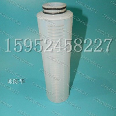 英特格YY5611180 Mykrolis过滤器 PFA过滤器 PFA工业过滤器 PFA高精度过滤器图5