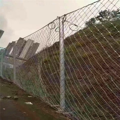 PPS-075级被动防护网   PPS-100级被动防护网DB型被动防护网 RN/3/3/350图5
