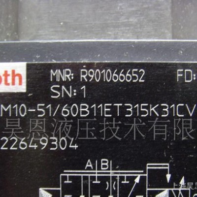 A10VSO100 DR  /31R-PPA12N00图2