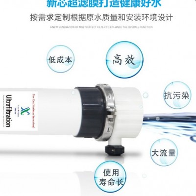 UF超滤膜  PVDF超滤膜，PVDF材质膜丝  柱式超滤膜，替代2860图3