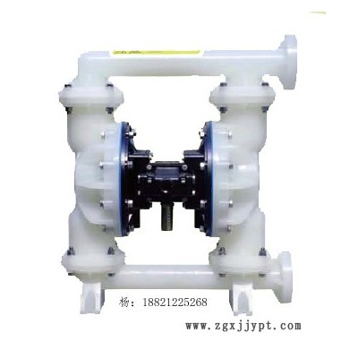 SKYLINK/斯凯力PS25,KY-AT-T/S-PP-TT-0F/1寸PVDF特氟龙泵偏四氟乙烯塑料外壳输送强酸碱泵图5