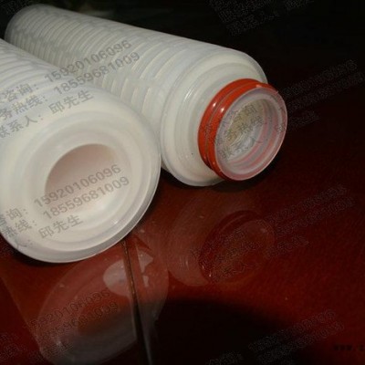 聚四氟乙烯折叠滤芯PTFE厂家图2