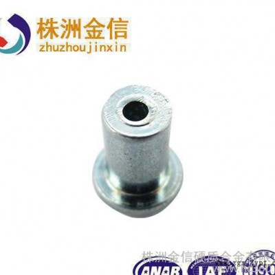 非标定制 株洲金信钉子 针对欧美的雪地自行车轮胎防滑钉 专业制作生产成品 6.5图3