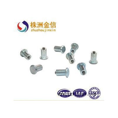 硬质合金防滑钉 雪地汽车轮胎防滑 株洲质量保证 JX55*6图2