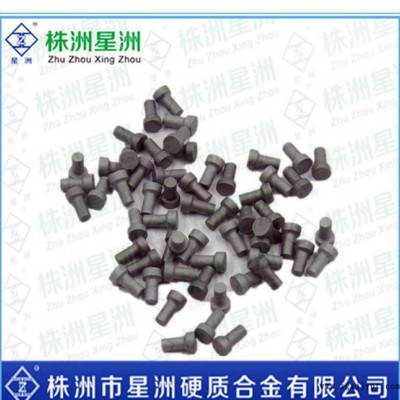 硬质合金汽车轮胎防滑钉 雪地防滑钉 钨钢异防滑钉图2
