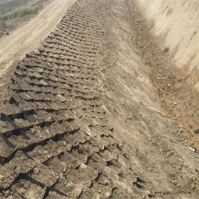 拓林 200-760 轮胎蜂巢格室 护坡专用蜂巢网格 武威土工格室价格图4