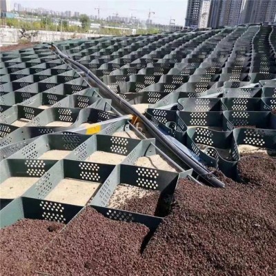 拓林 200-760 轮胎蜂巢格室 护坡专用蜂巢网格 武威土工格室价格图3